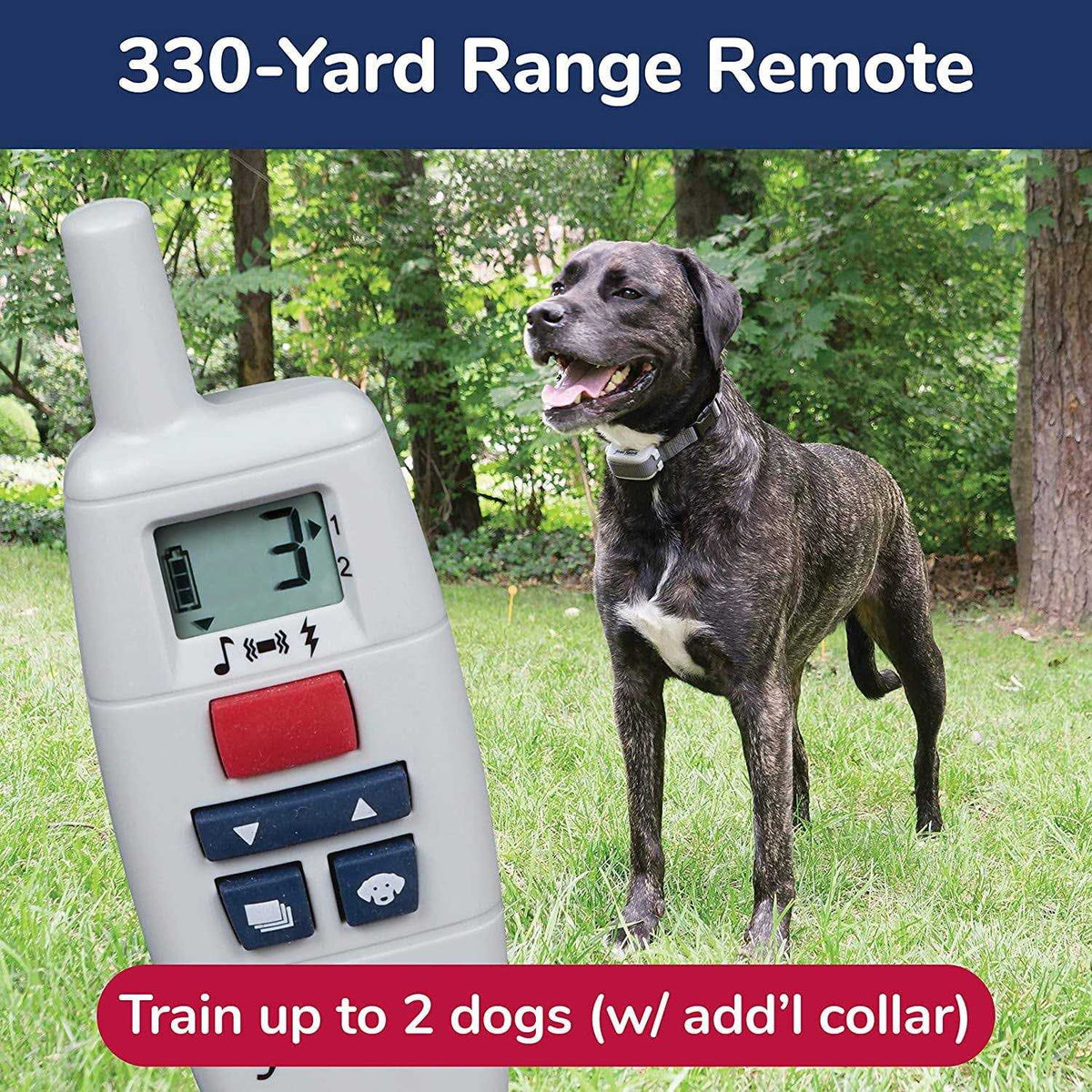 Remote Trainer M1731