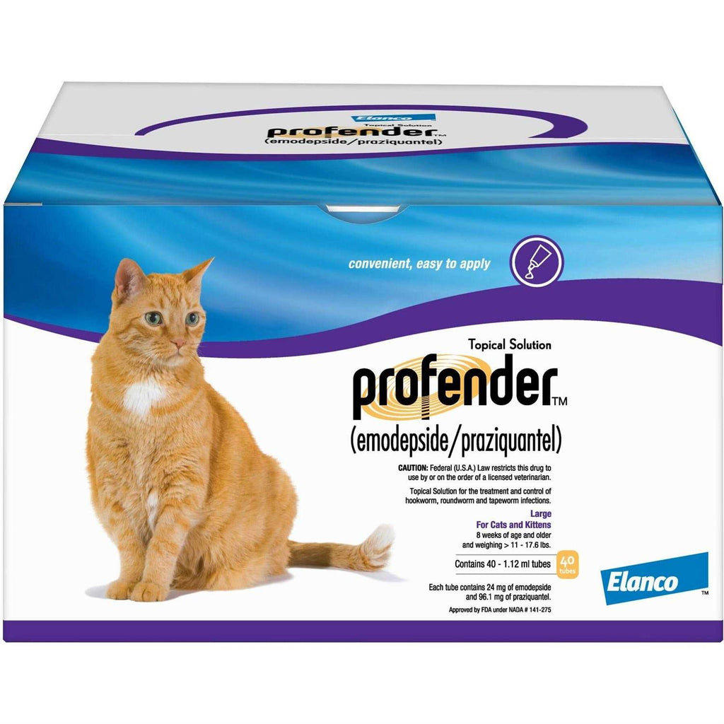 Large Cats 11.1-17.6lbs Y7835
