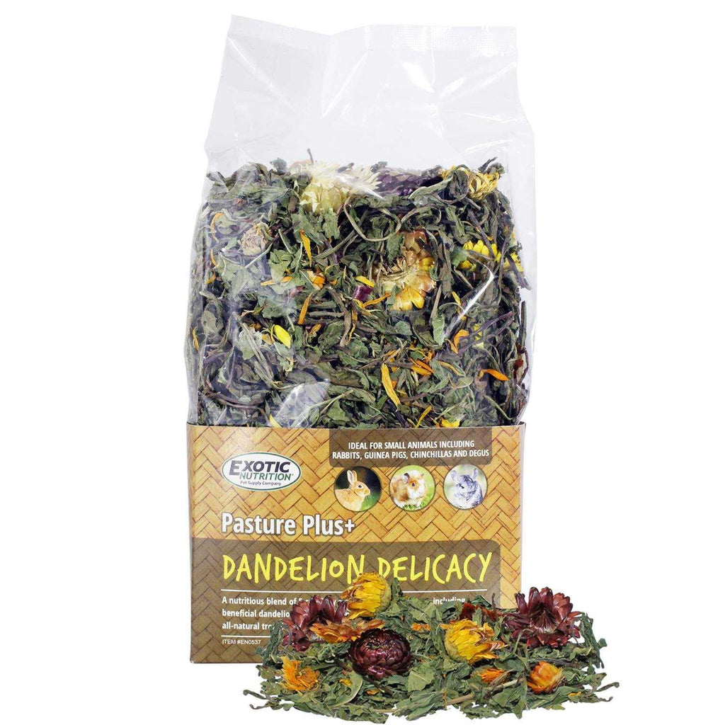 Dandelion Delicacy Pet Supplies O3646