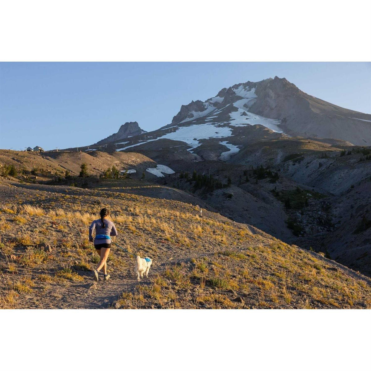 Trail Runner Belt R6147