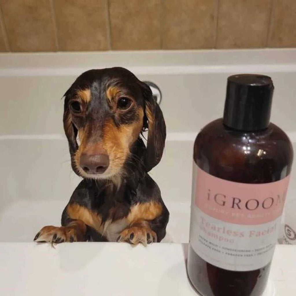 Tearless Facial Shampoo H911568