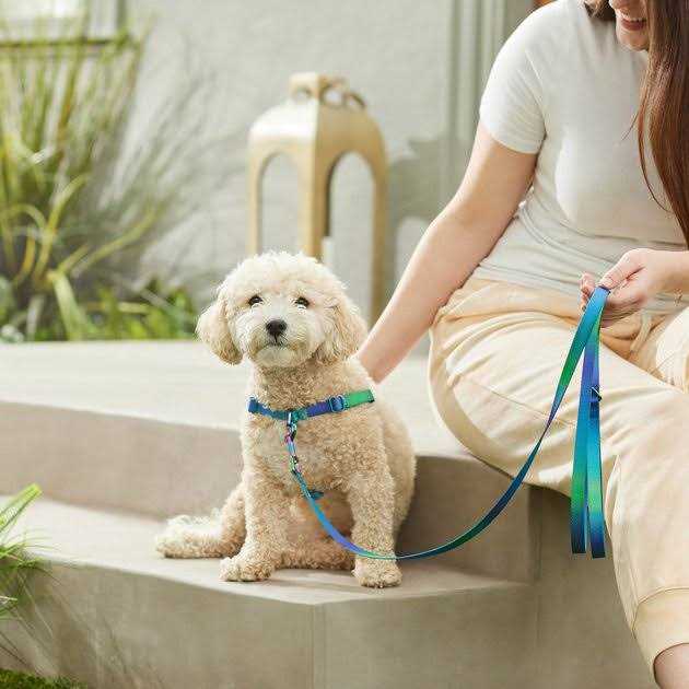 Dog Leash F885