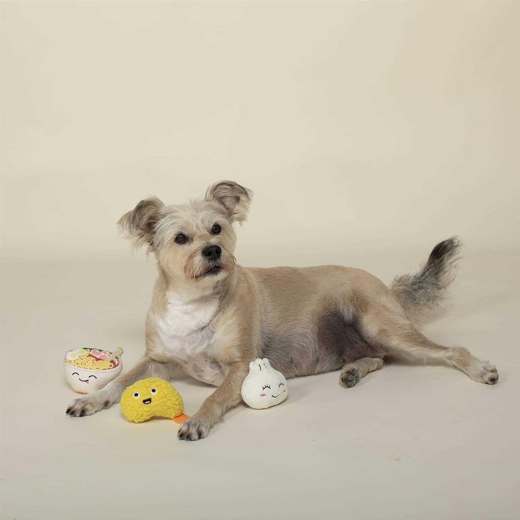 Plush Dog Toy Set X181186