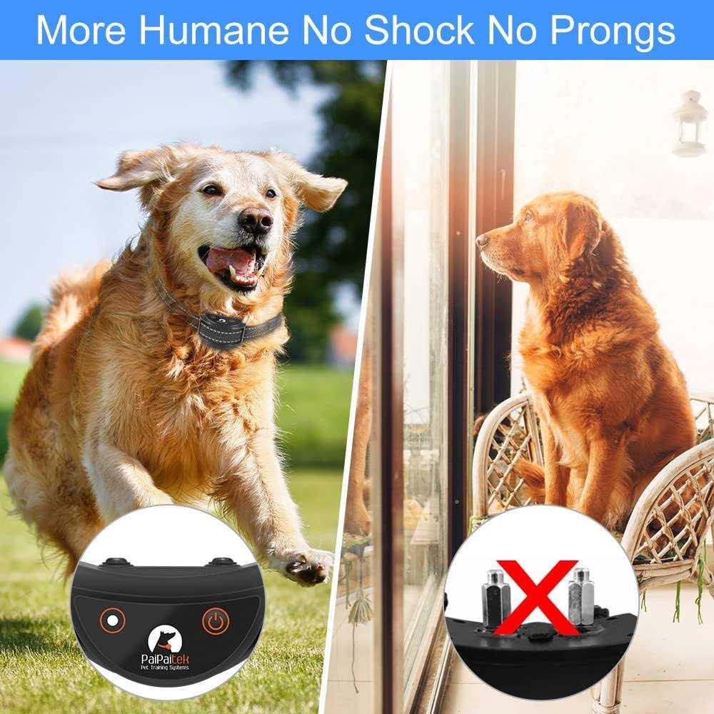 Dog Training Collar with Remote C44955