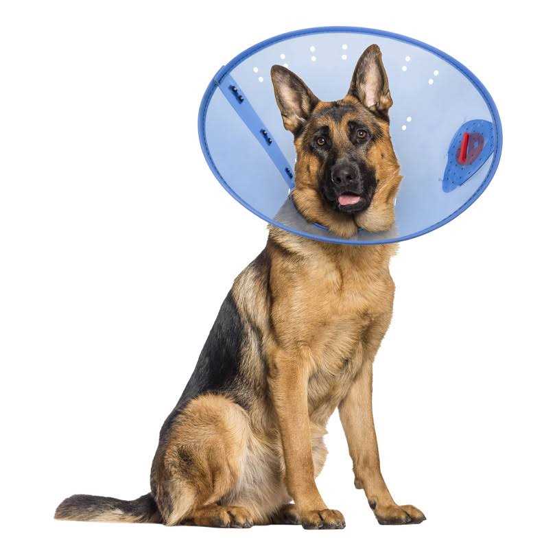 Calming Dog E-Collar O261