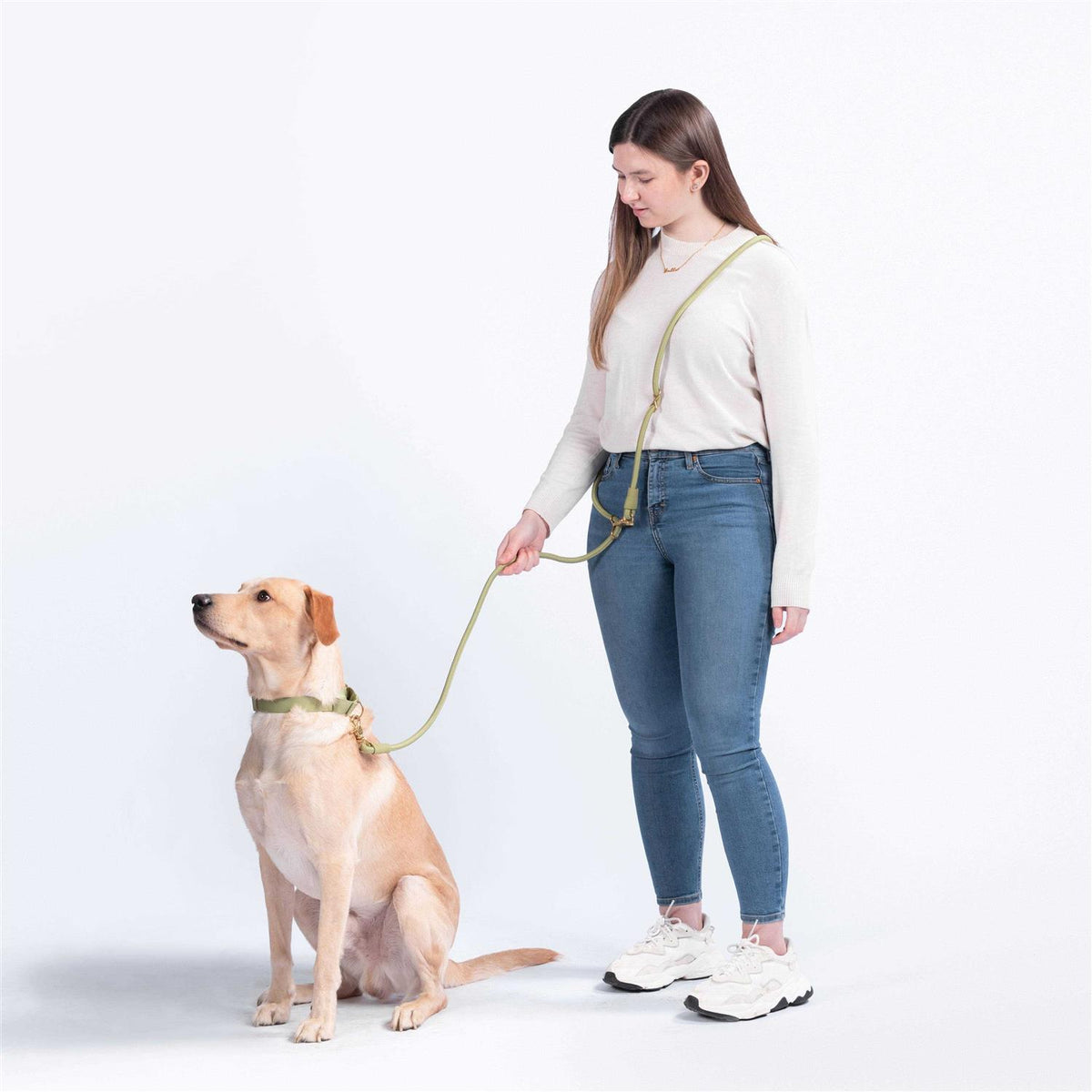 Leash Z52165