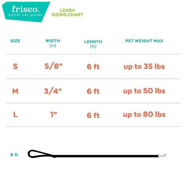 Dog Leash F885