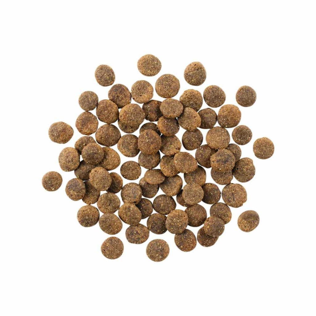 Limited Ingredient Lamb Grain-Free Dry Dog Food K143776
