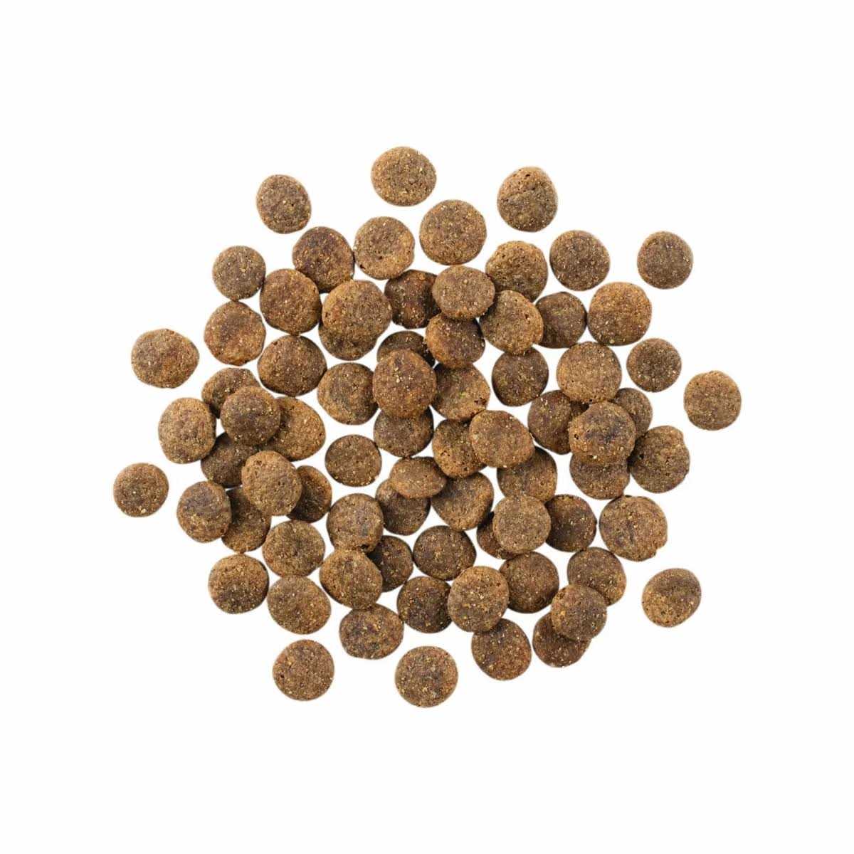 Limited Ingredient Lamb Grain-Free Dry Dog Food K143776