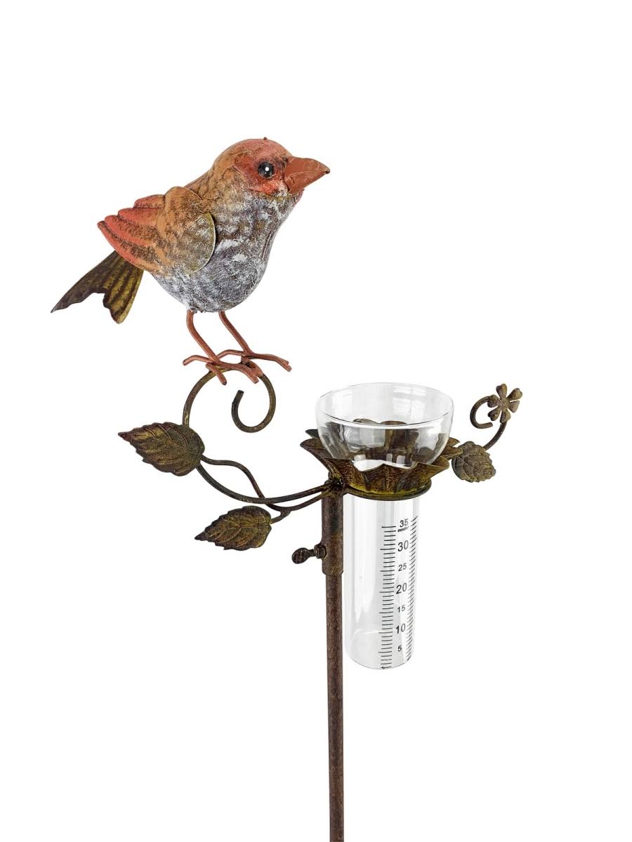 Rain Gauge C817