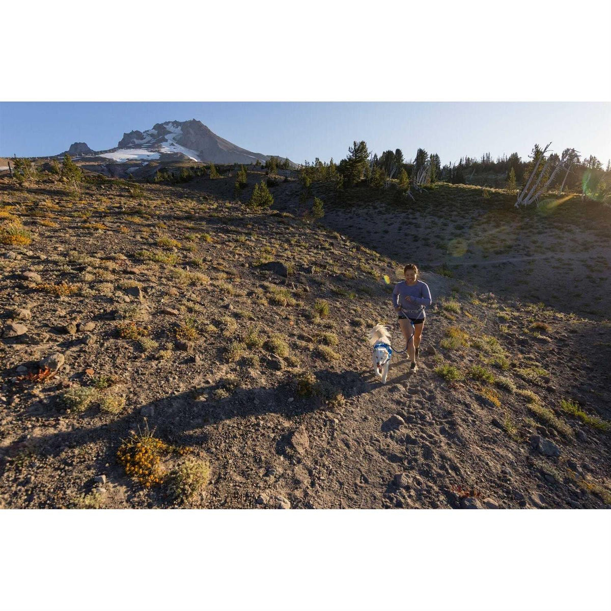 Trail Runner Belt R6147