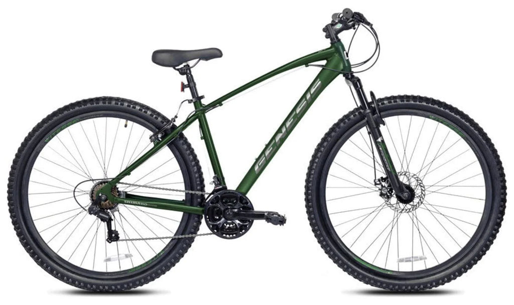 29-inch Mountain Bicycle R499