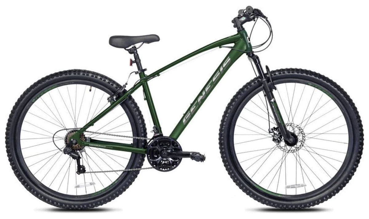 29-inch Mountain Bicycle R499