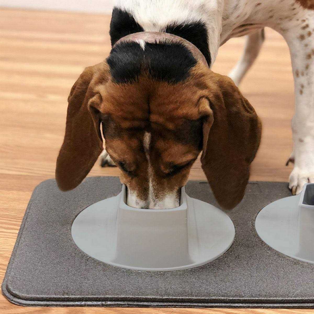 Pet Feeding Station D8828