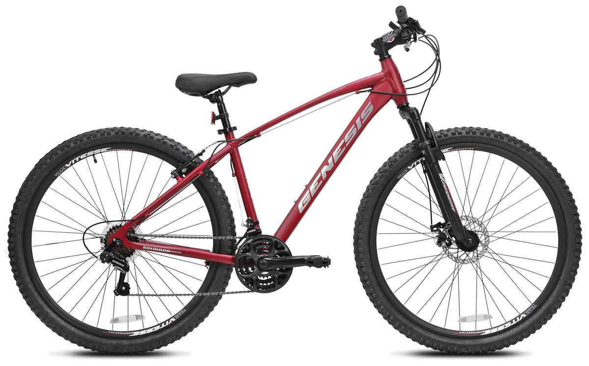 29-inch Mountain Bicycle R499