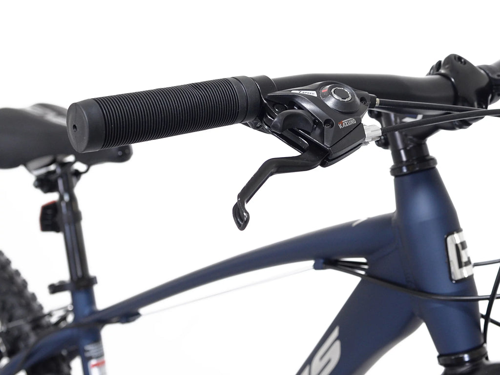 29-inch Mountain Bicycle R499