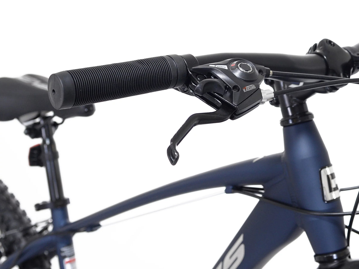 29-inch Mountain Bicycle R499