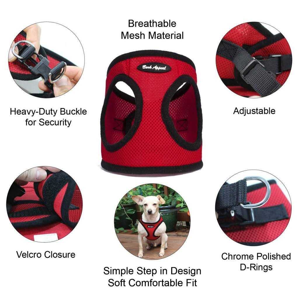 Mesh Harness X585363