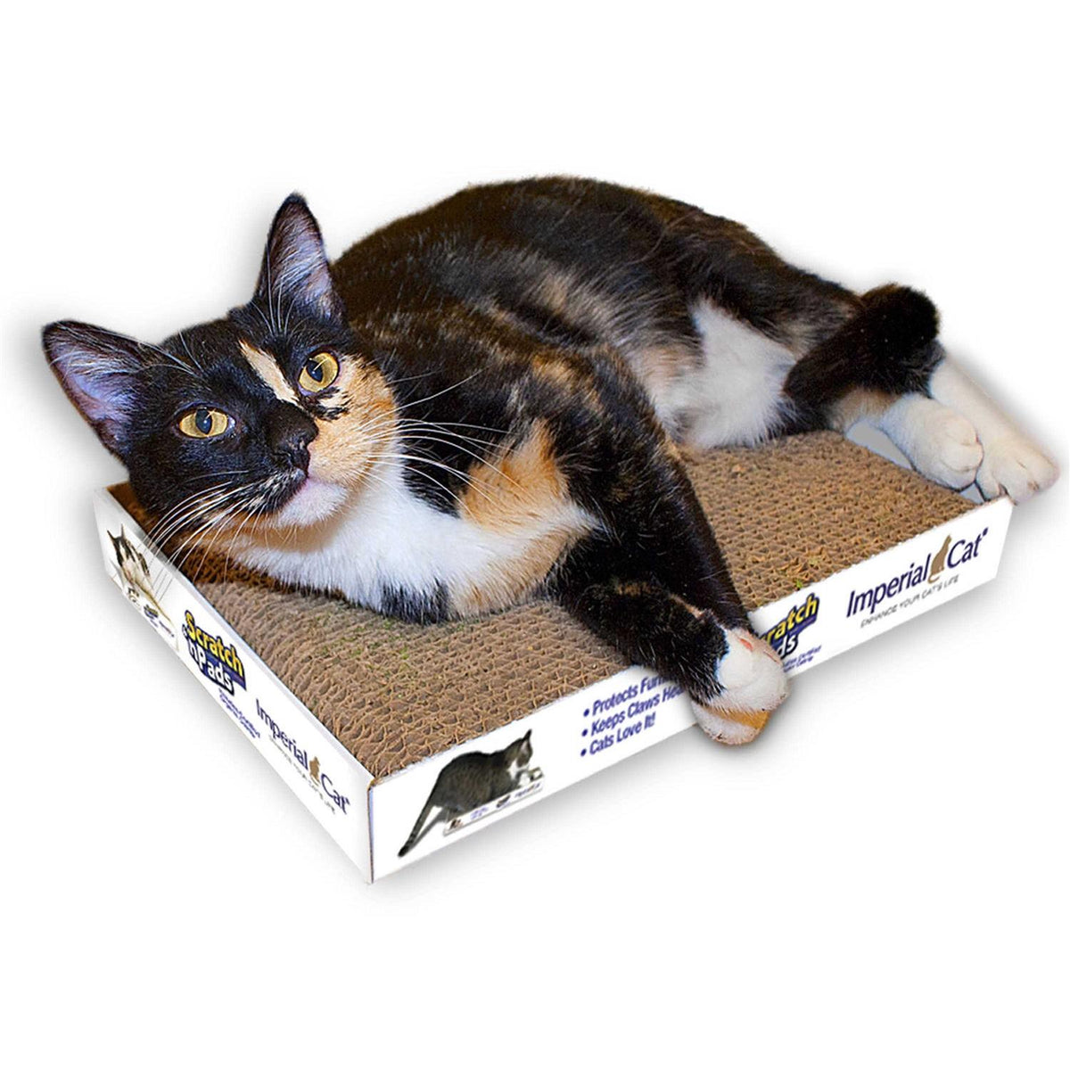 Cat Scratch Pad F797866