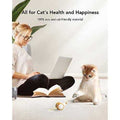 Interactive Cat Toys with LED Lights O757911