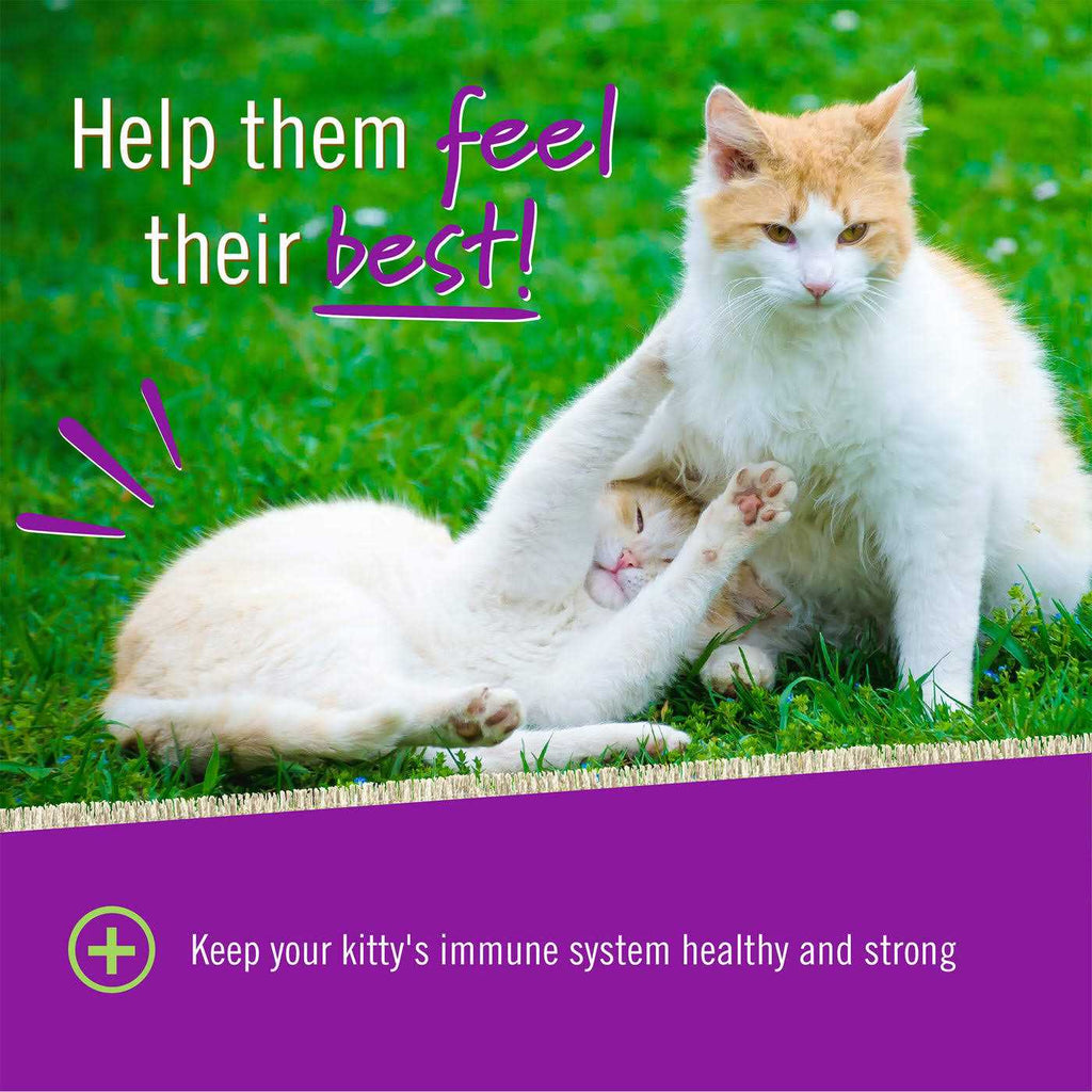 L Lysine Chews for Cats A117