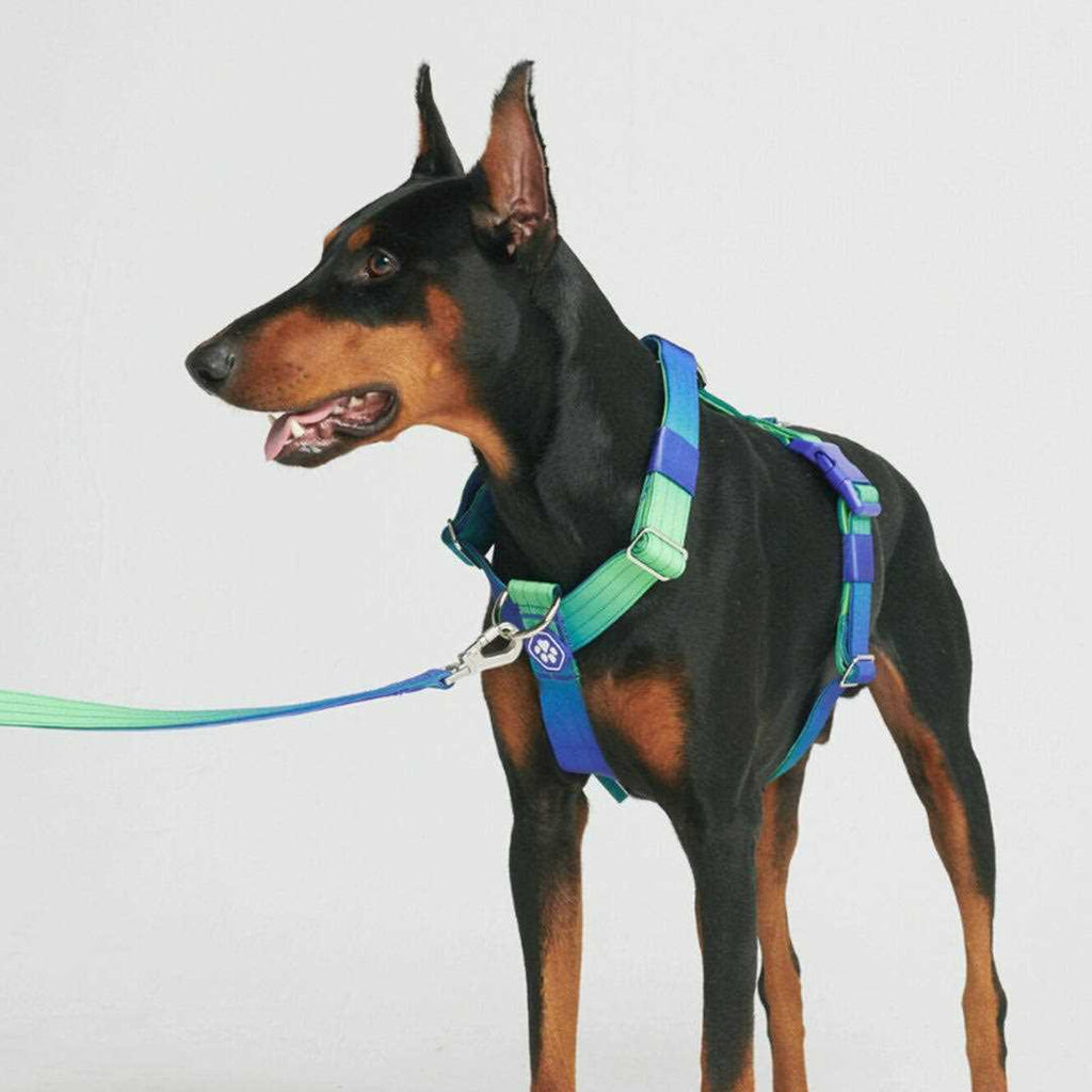 No-Pull Dog Harness F620