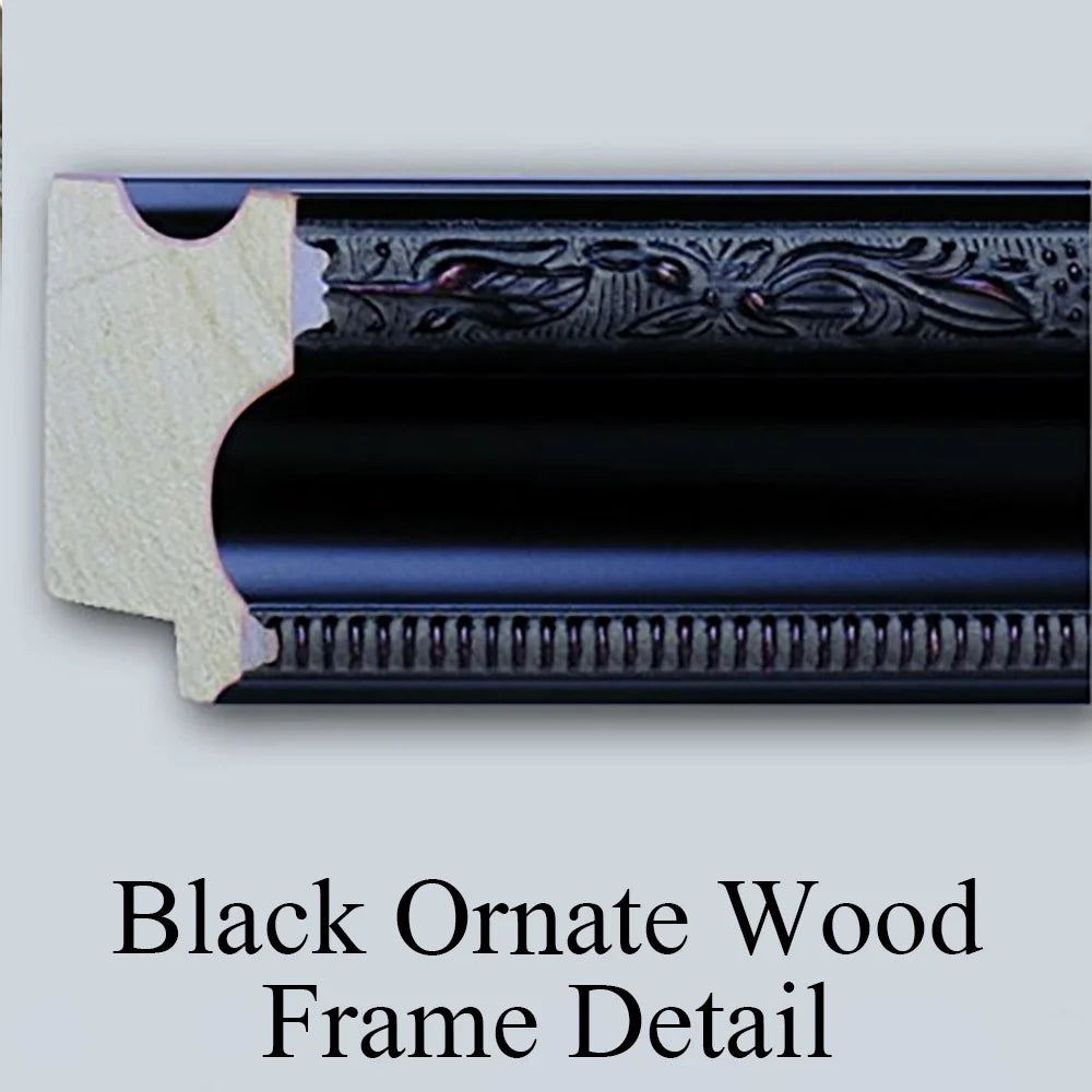 Black Ornate Wood Framed Double Matted Museum Art Print C6571