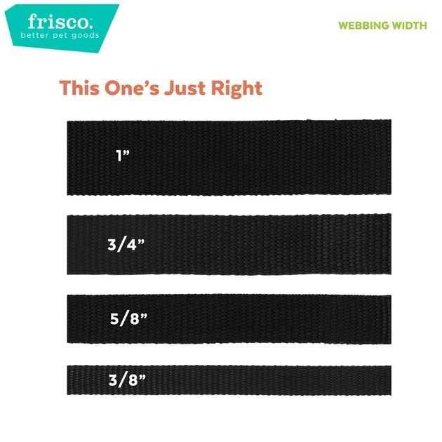 Dog Leash F885