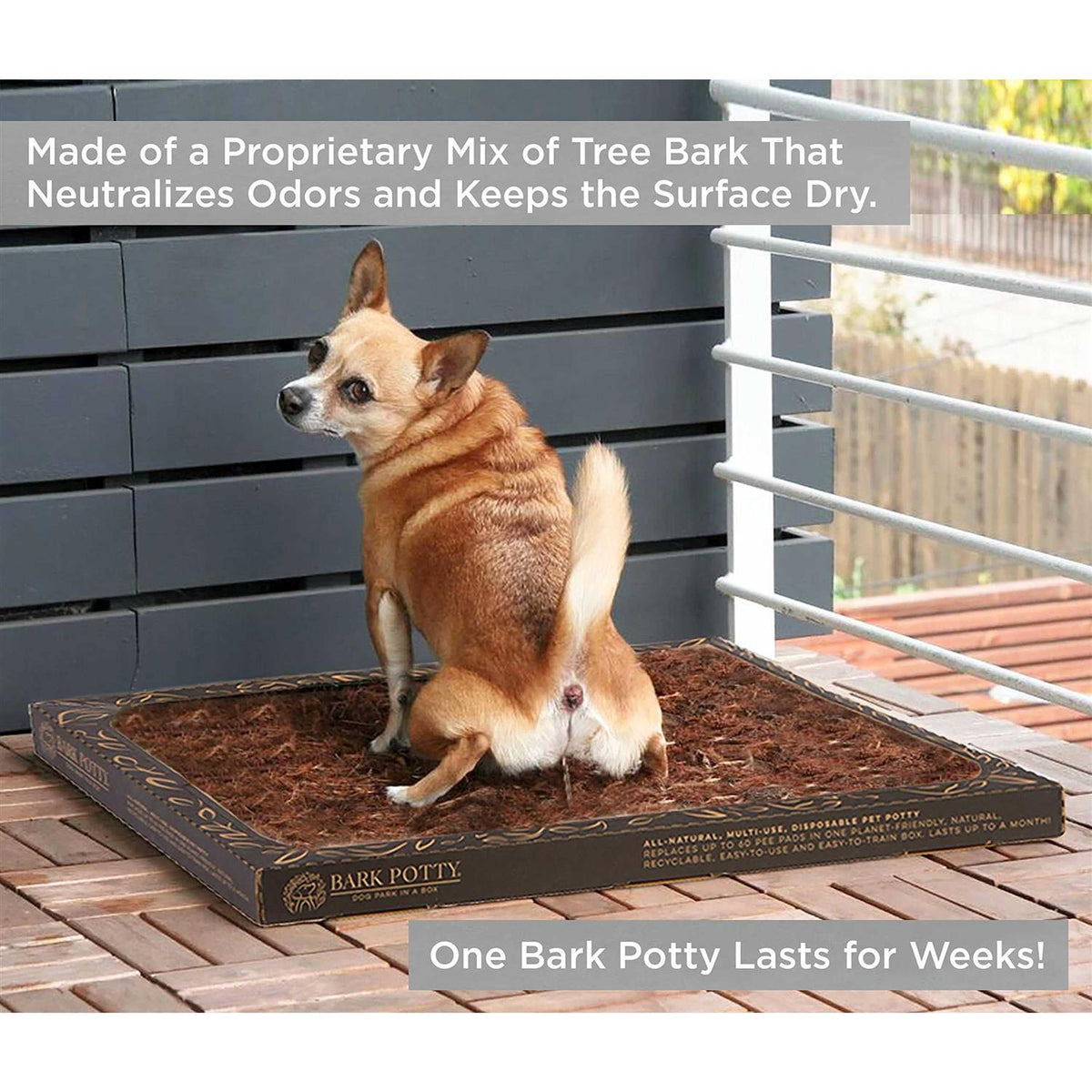 Disposable Dog Potty W95595