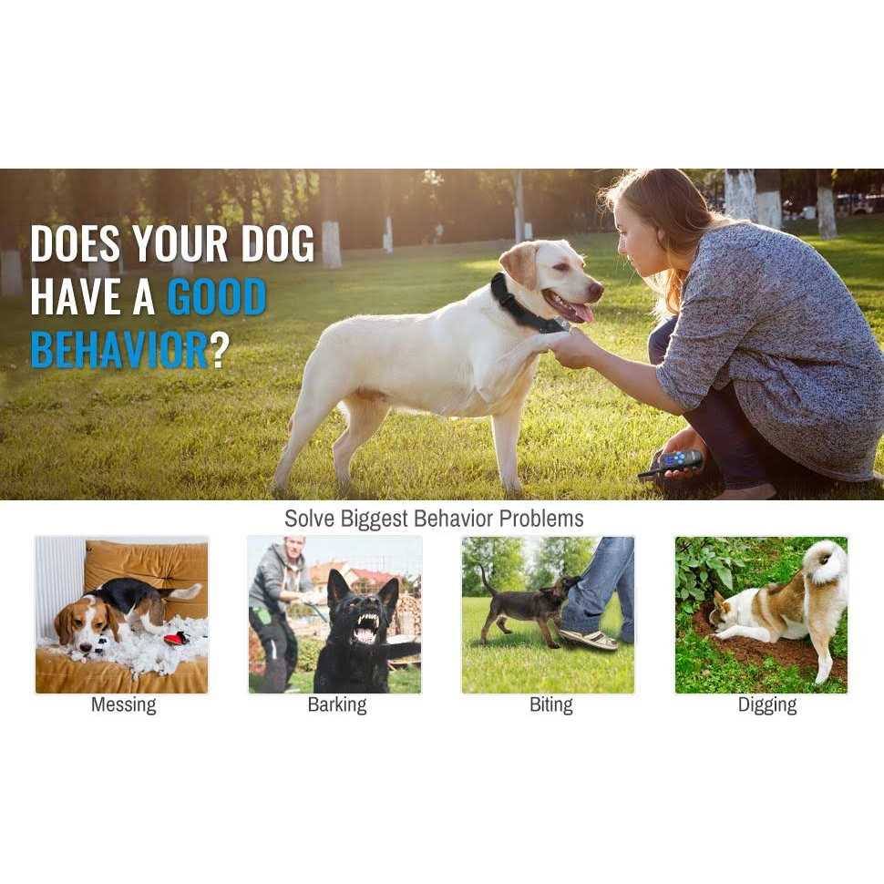 Rechargeable Dog Training Collar with Remote D72572