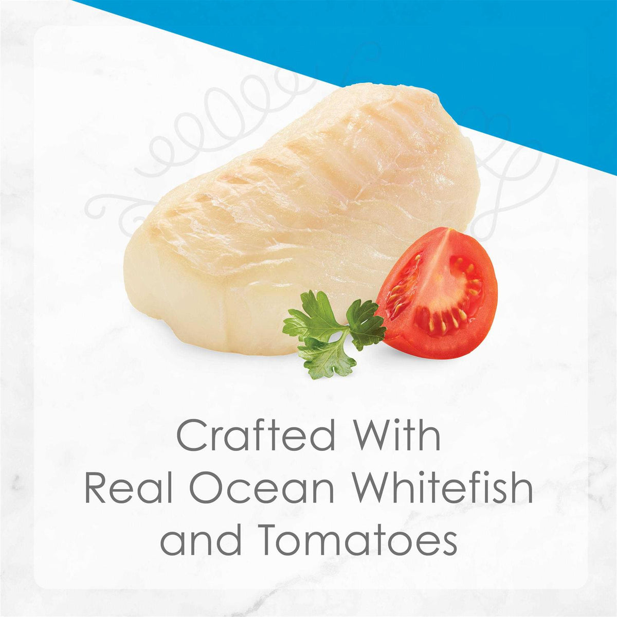Ocean Whitefish Entree in Gravy Wet Cat Food C2380