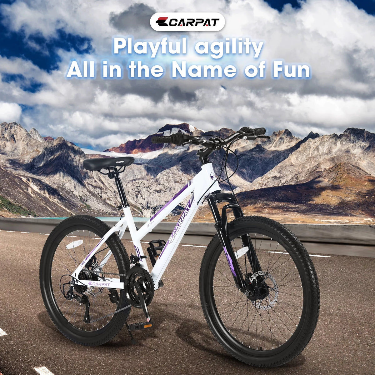 24in 21-Speed Adjustable Aluminum Mountain Bike L716269