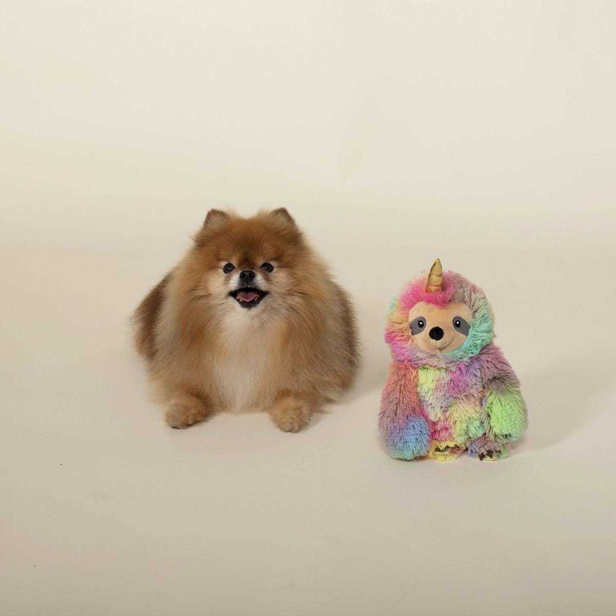 Dog Toy K76050