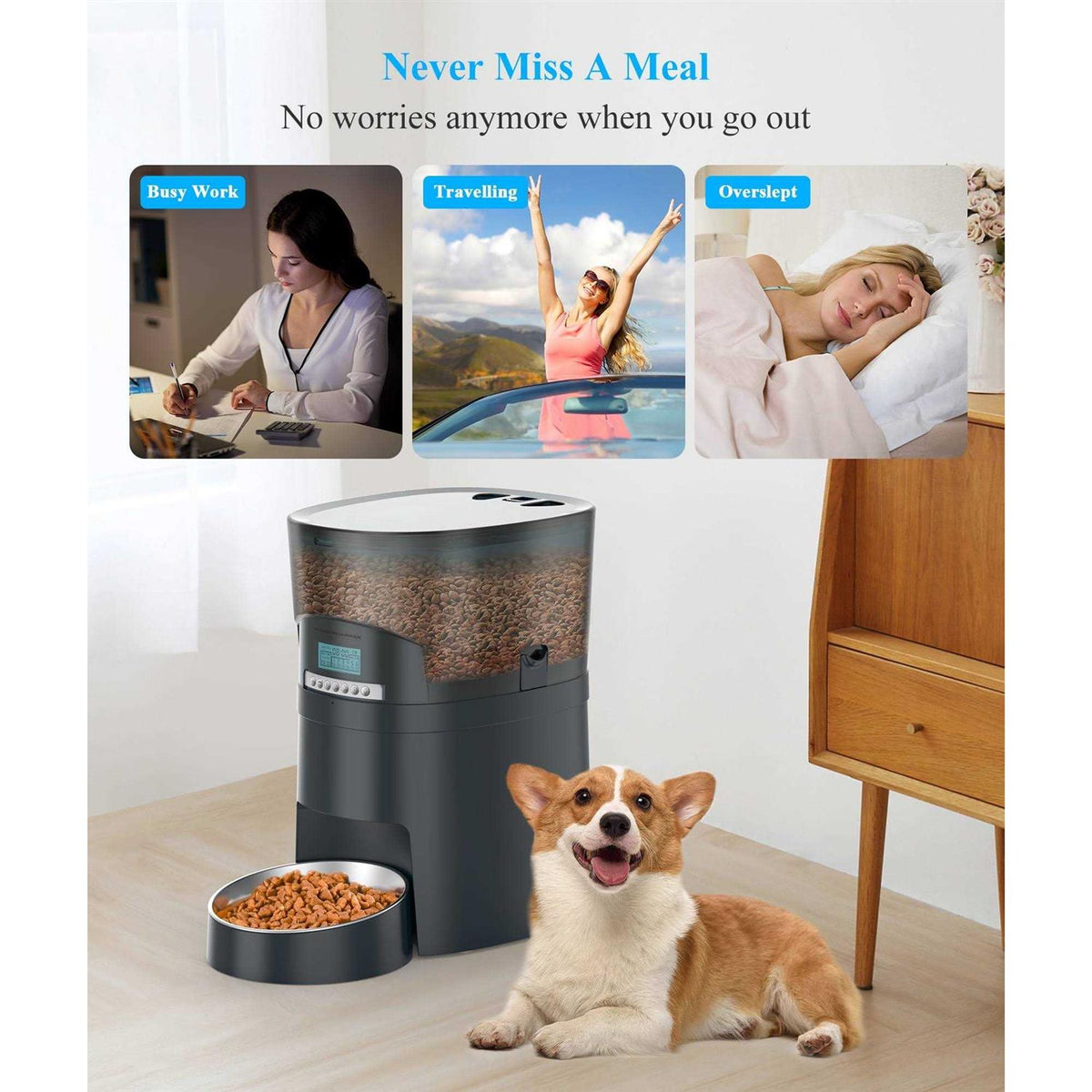 4.5l Automatic Pet Feeder 6 Meal Portion Control E596