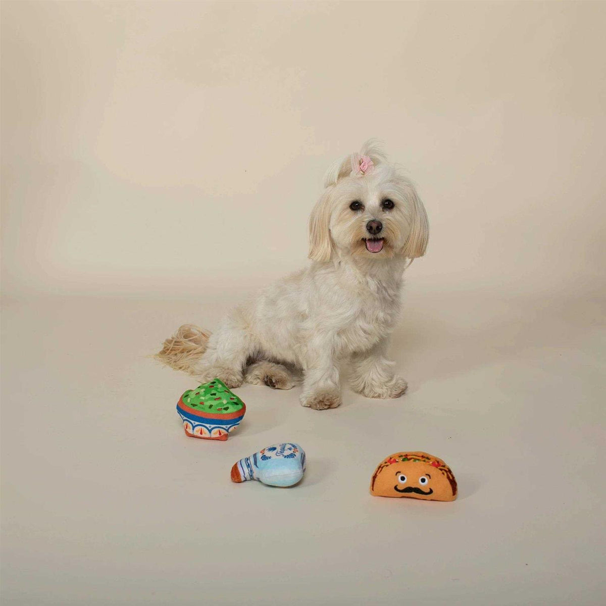 Taco Tuesday Dog Toy Set S638202