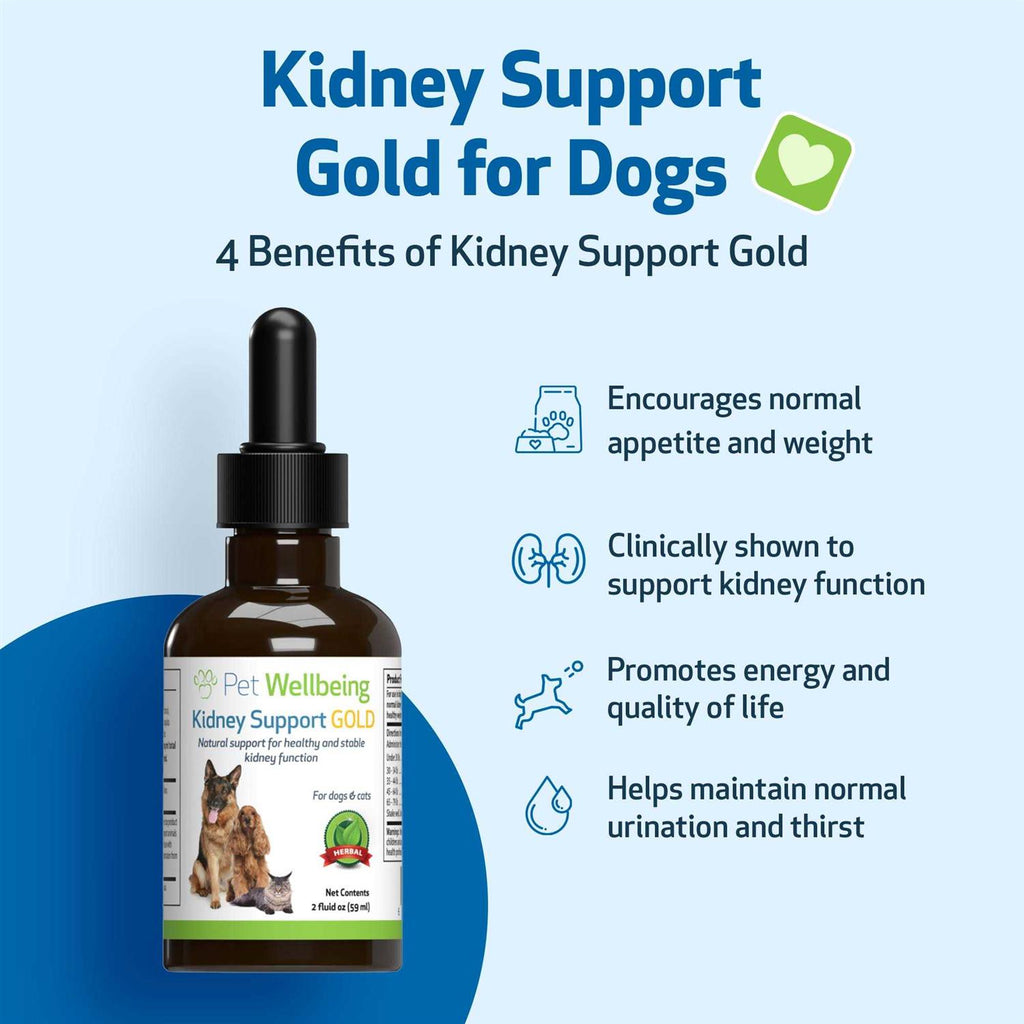 Kidney Support Gold for Dogs A515
