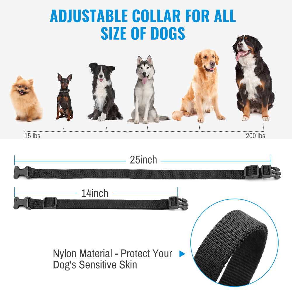 Rechargeable Dog Training Collar with Remote D72572
