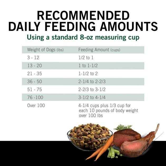 High Protein Dry Dog Food Y31006
