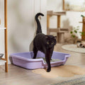 Senior Cat Litter Box N672