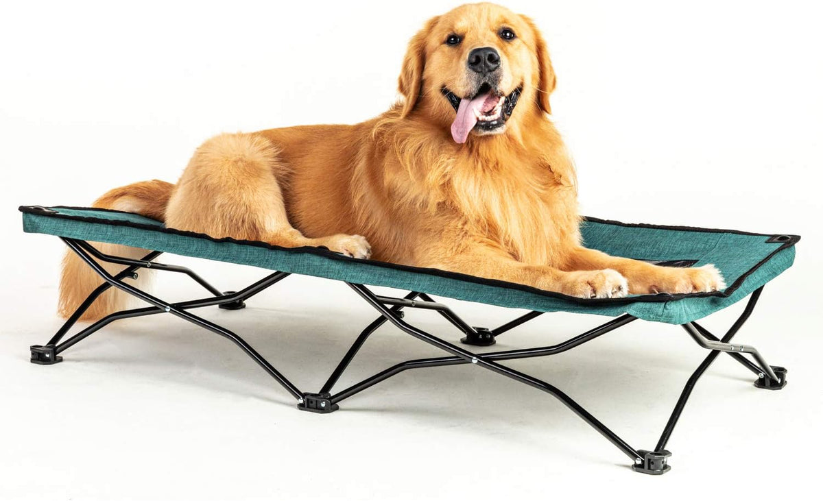 47 inches Elevated Dog Bed Cot with Breathable Mesh F29396