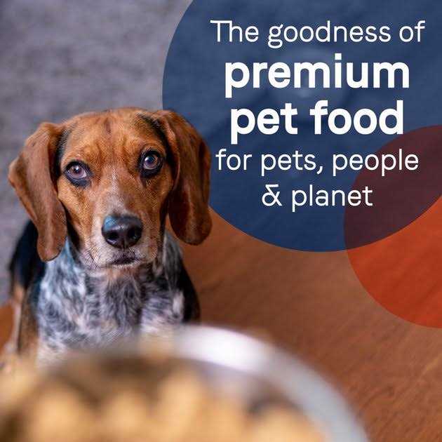 Grain-Free Salmon & Sweet Potato Canned Dog Food N415
