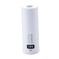 Portable Electric Heating Kettle R338749