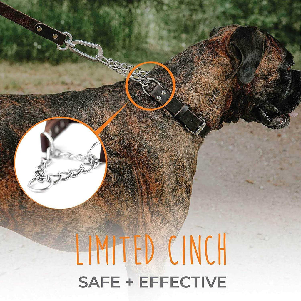 Leather Martingale Collar S13269