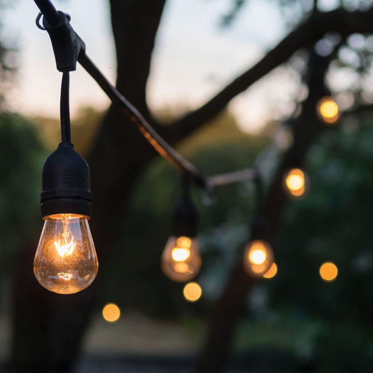 Black 12-Bulb Incandescent String Lights Z9059