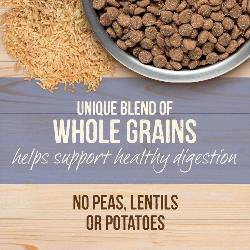 Healthy Grains Freeze Dried Raw Coated Dry Dog Food C465