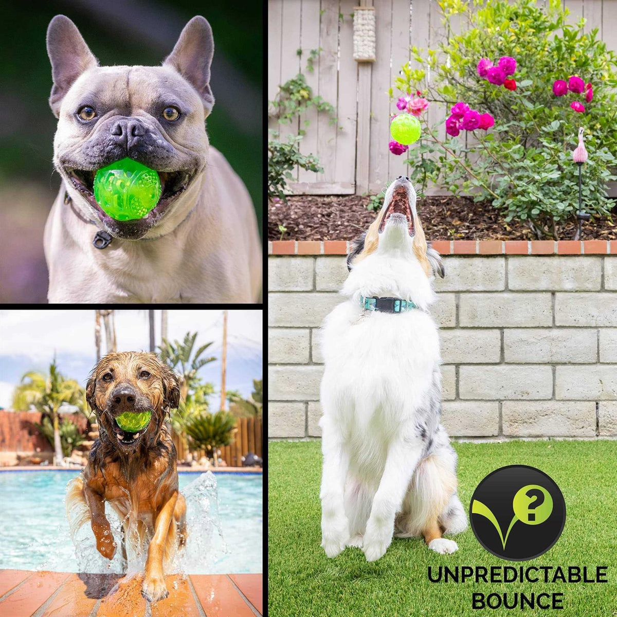 Dog Toy Ball G97719