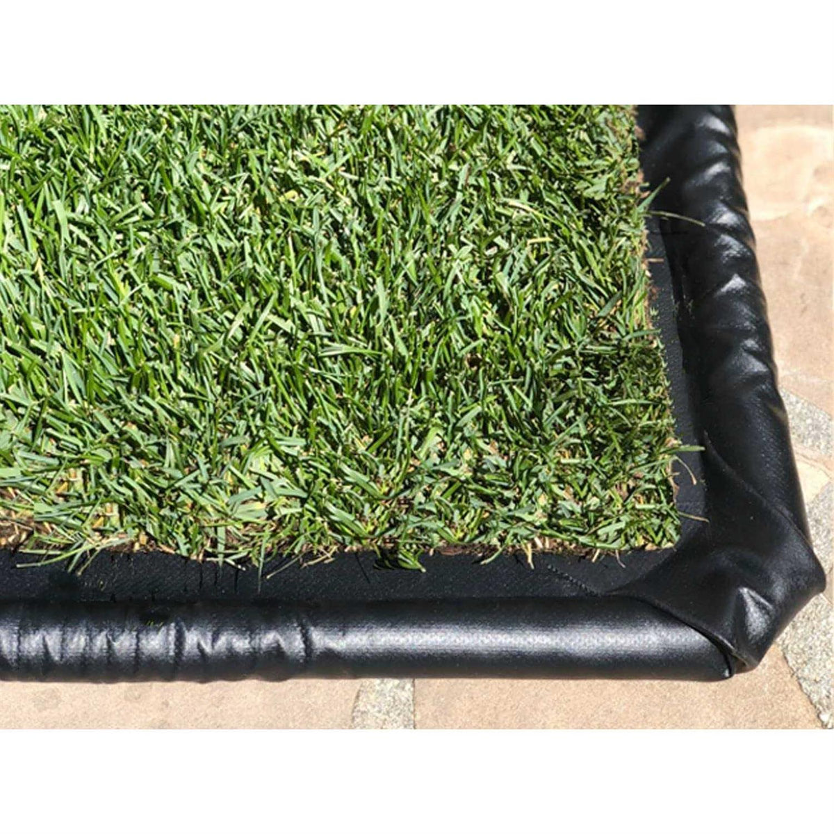 Dog Potty Real Grass C733