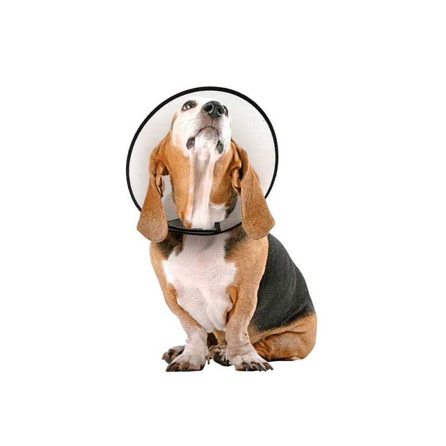Protective Cone Collar M719522