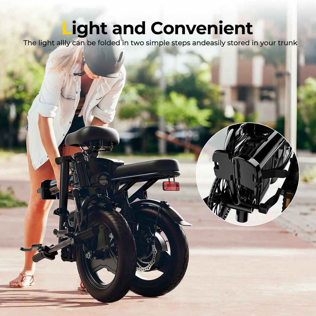 Electric Bike with 400W Motor 48V 13Ah Removable Battery Folding U964063