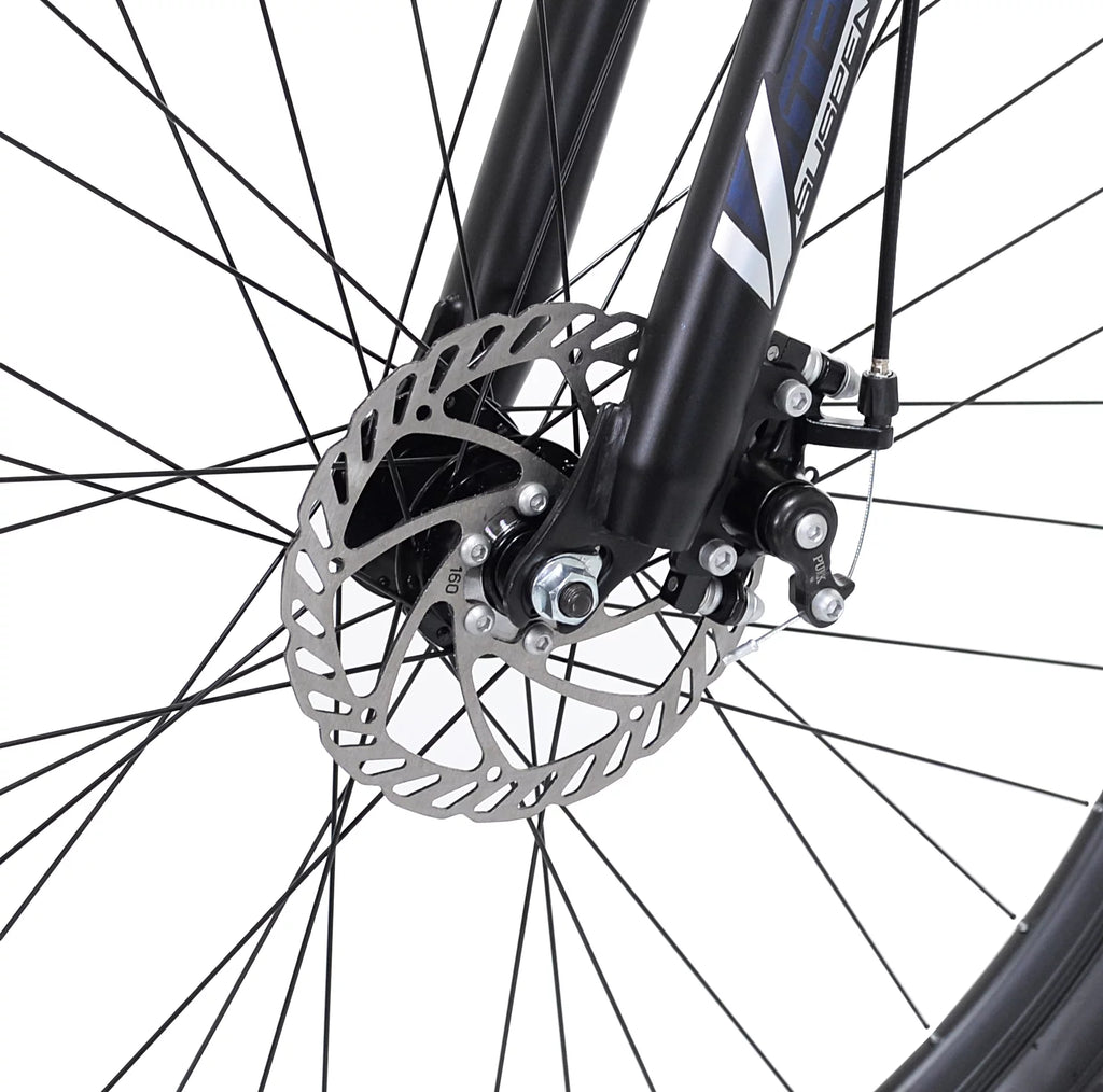 29-inch Mountain Bicycle R499